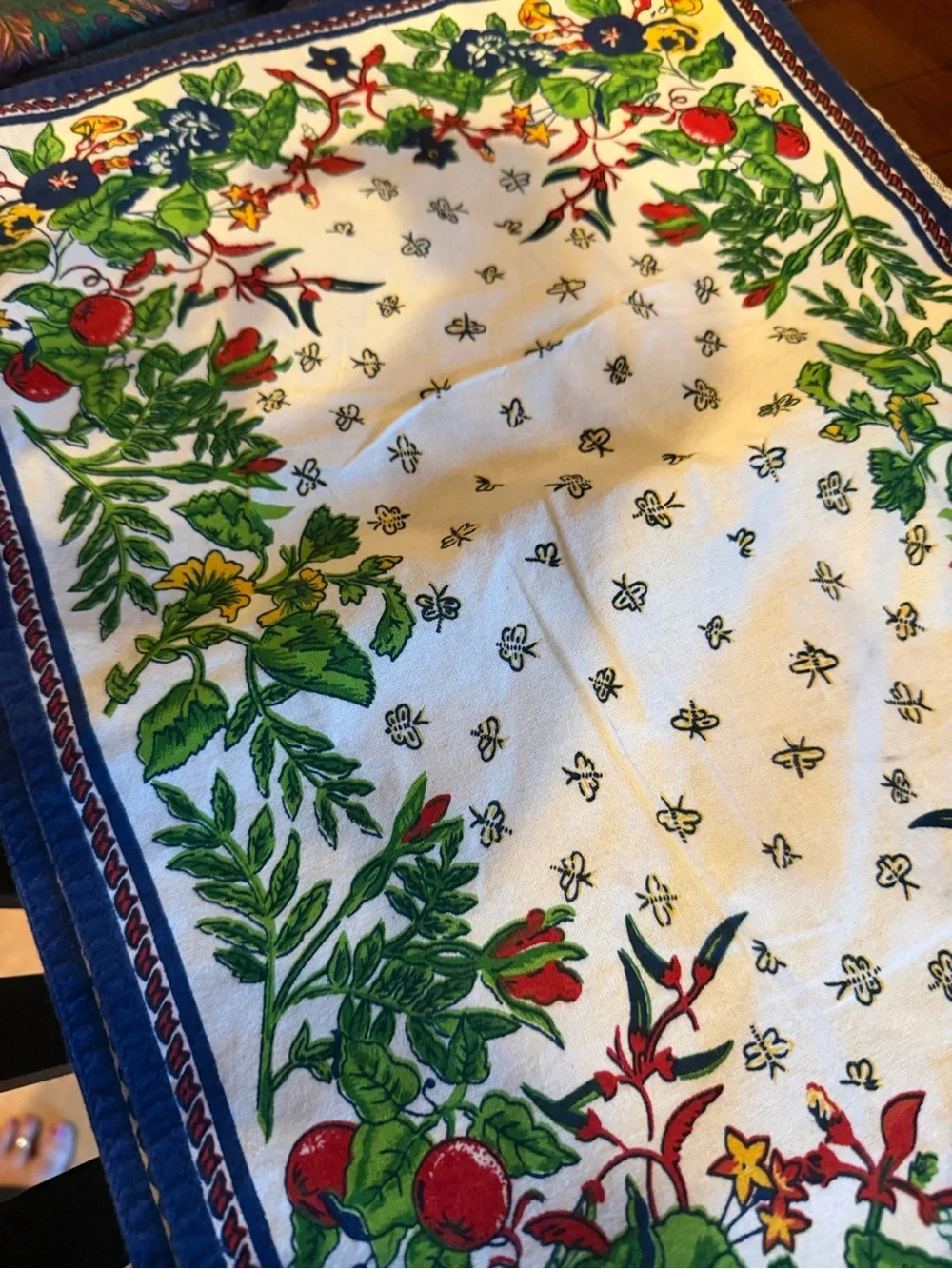 Williams Sonoma placemats set of two